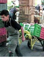 foto (210)  IMAGEN FOTOGRAFIA